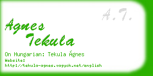 agnes tekula business card